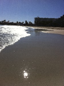 IMG_0202